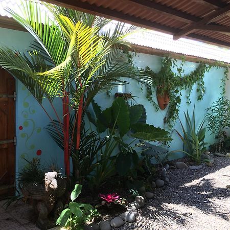 Sueno Grande B&B Puerto Viejo de Talamanca Bagian luar foto