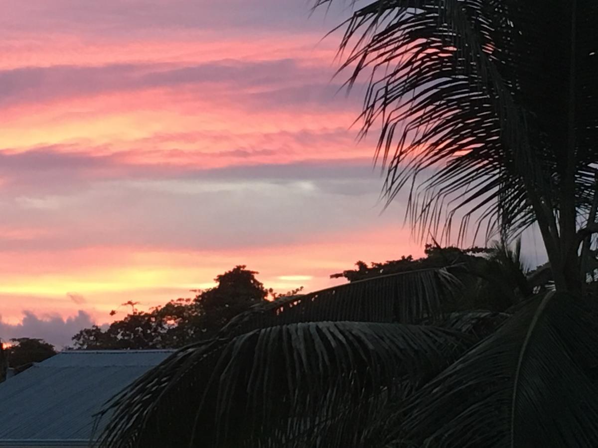 Sueno Grande B&B Puerto Viejo de Talamanca Bagian luar foto